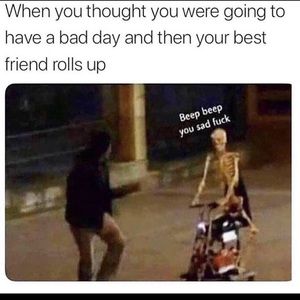 Meet your Posher, Ellie